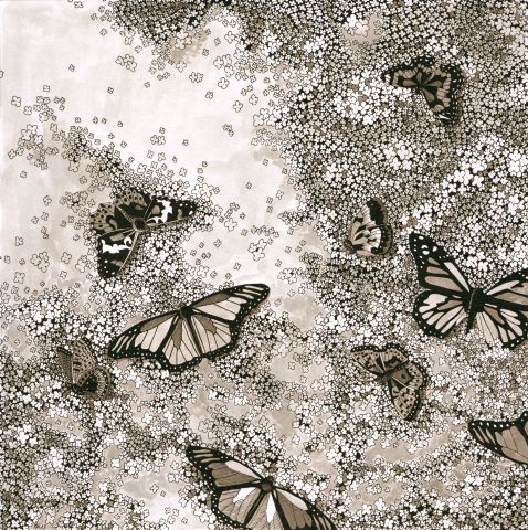 papillons